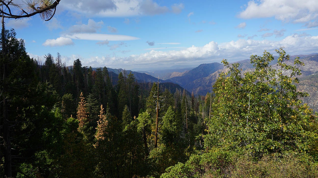 The Best US States for Hiking according to data