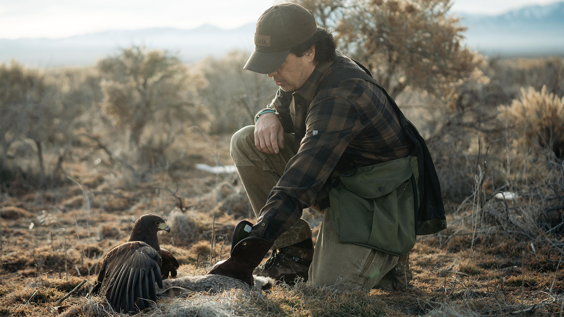 Manny crouching next to his falcon on a field