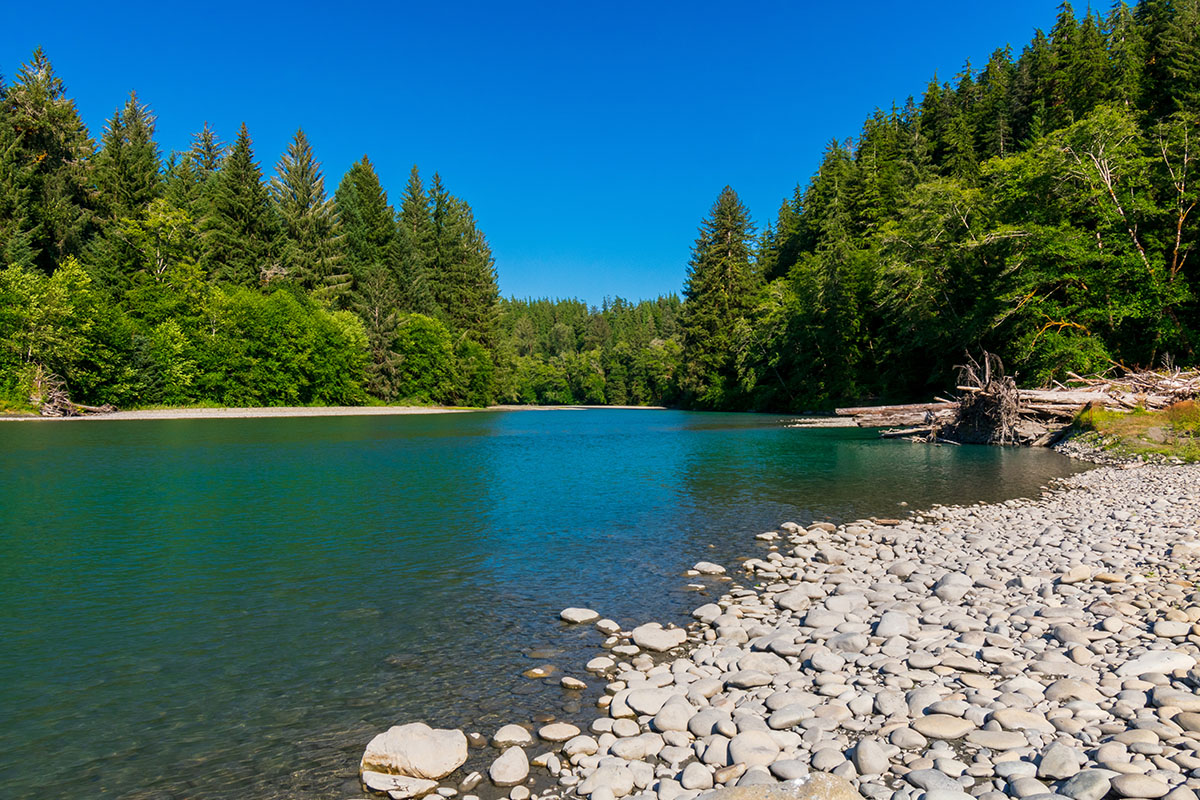 Best Hikes In Olympic National Park 1