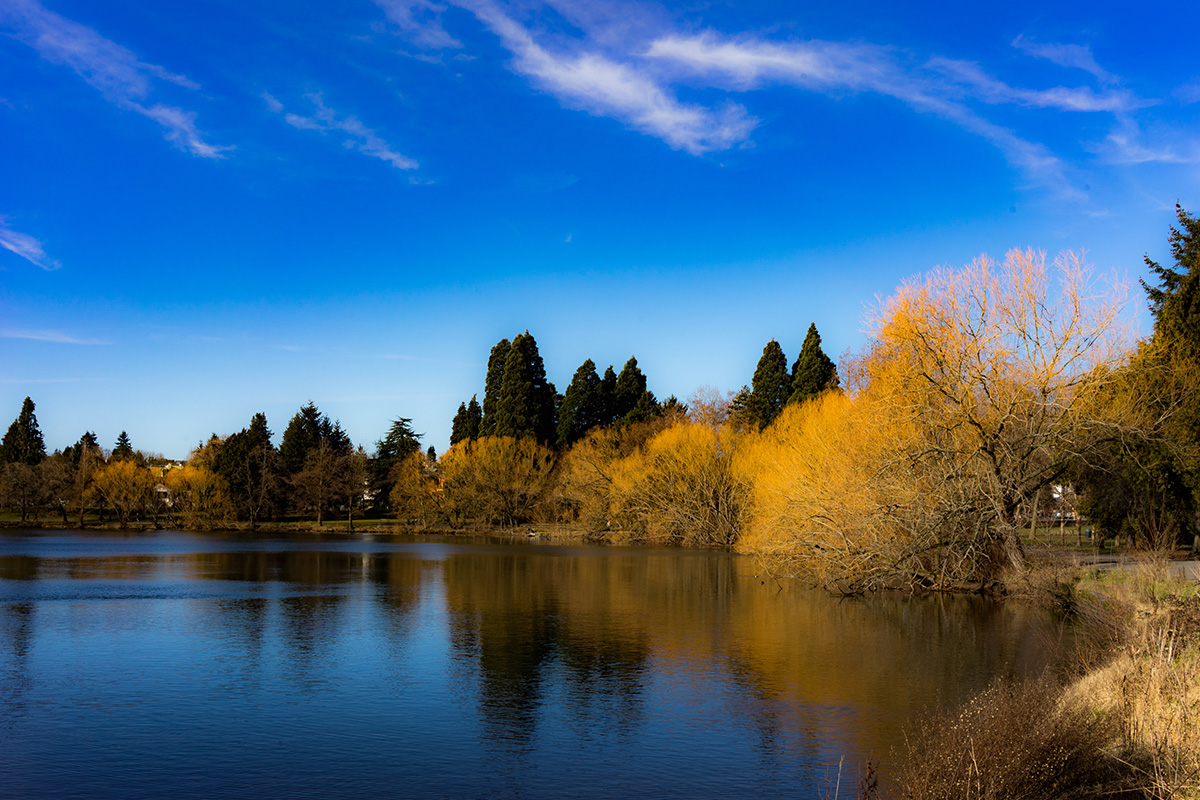 Seattle Hiking Trails 13