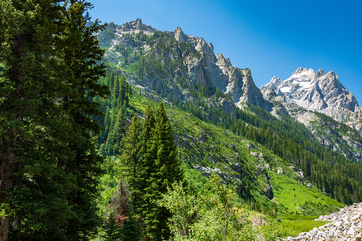 Grand Teton National Park 5