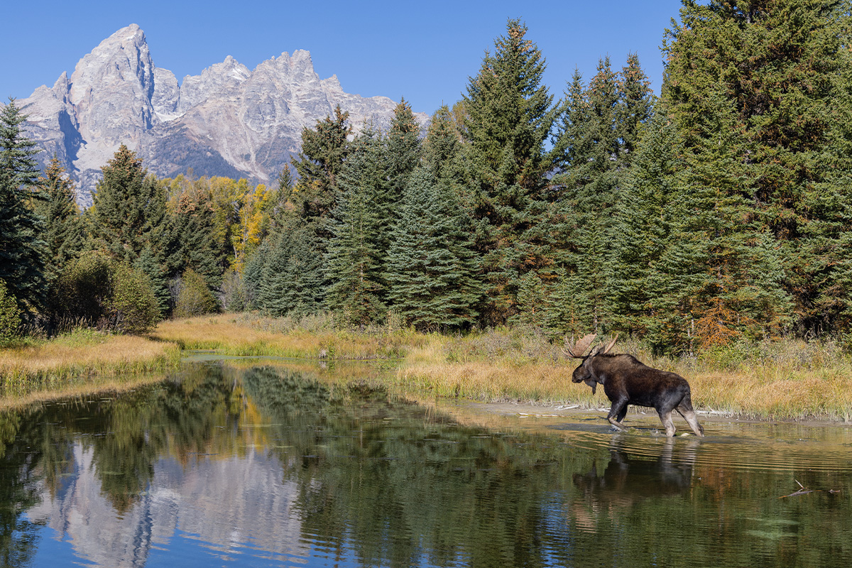 Grand Teton National Park 7