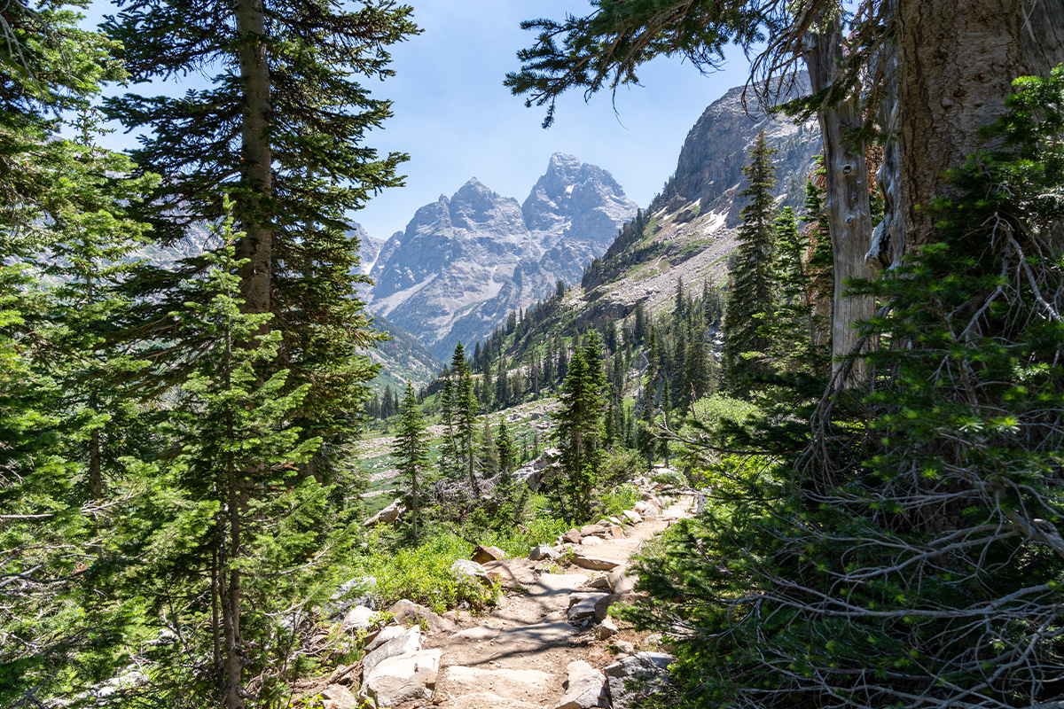 Grand Teton National Park 9