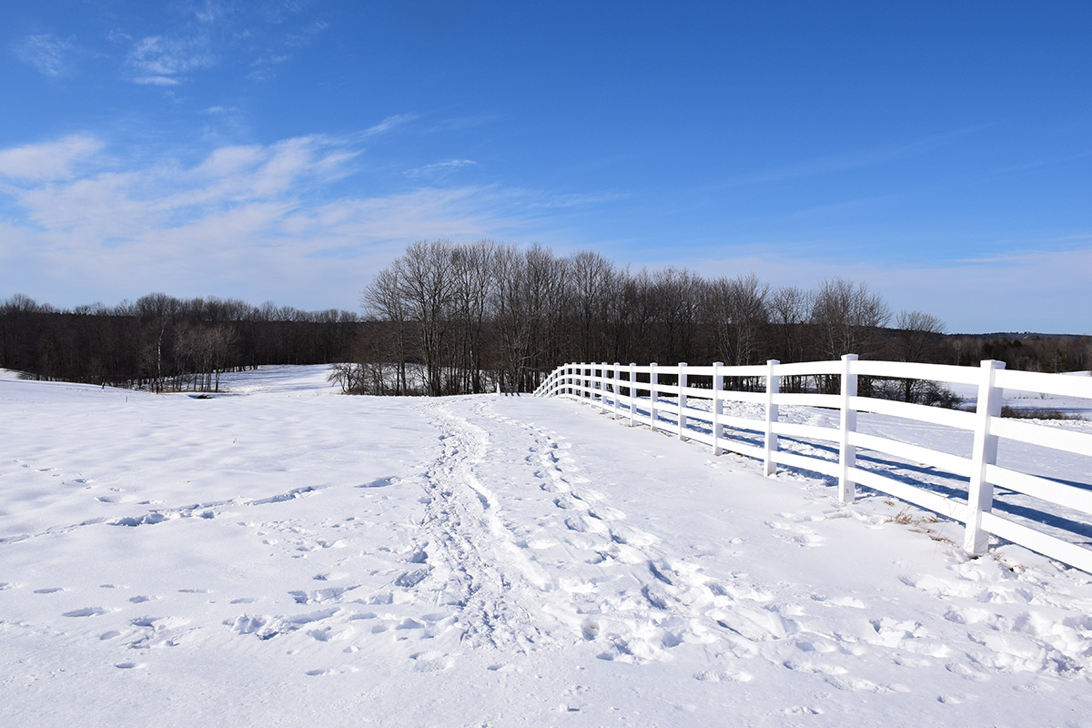 Activities To Enjoy in Maine This Winter 3