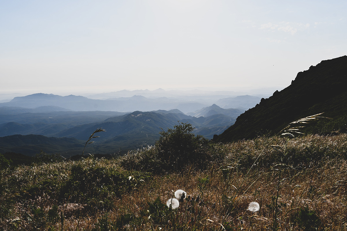 Guide on Hiking in San Diego 7