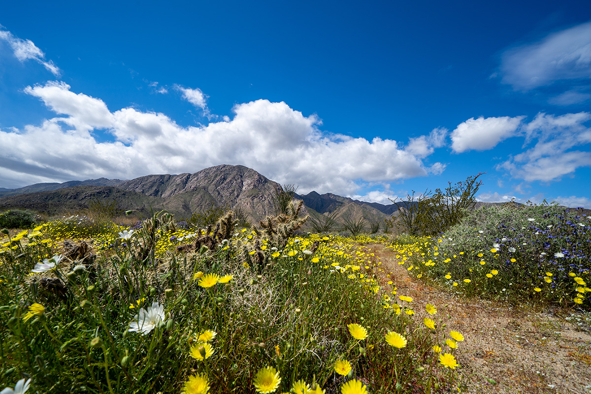 Guide on Hiking in San Diego 9