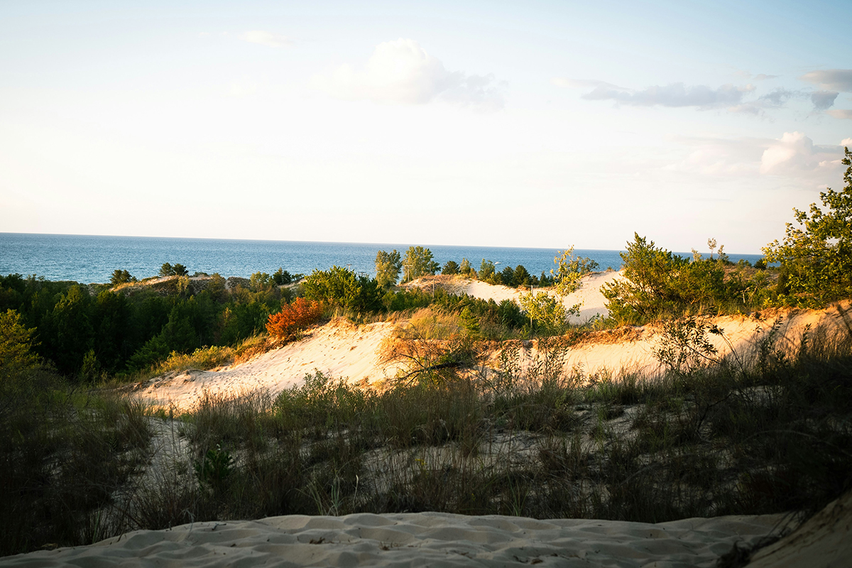 Indiana Dunes National Park  1