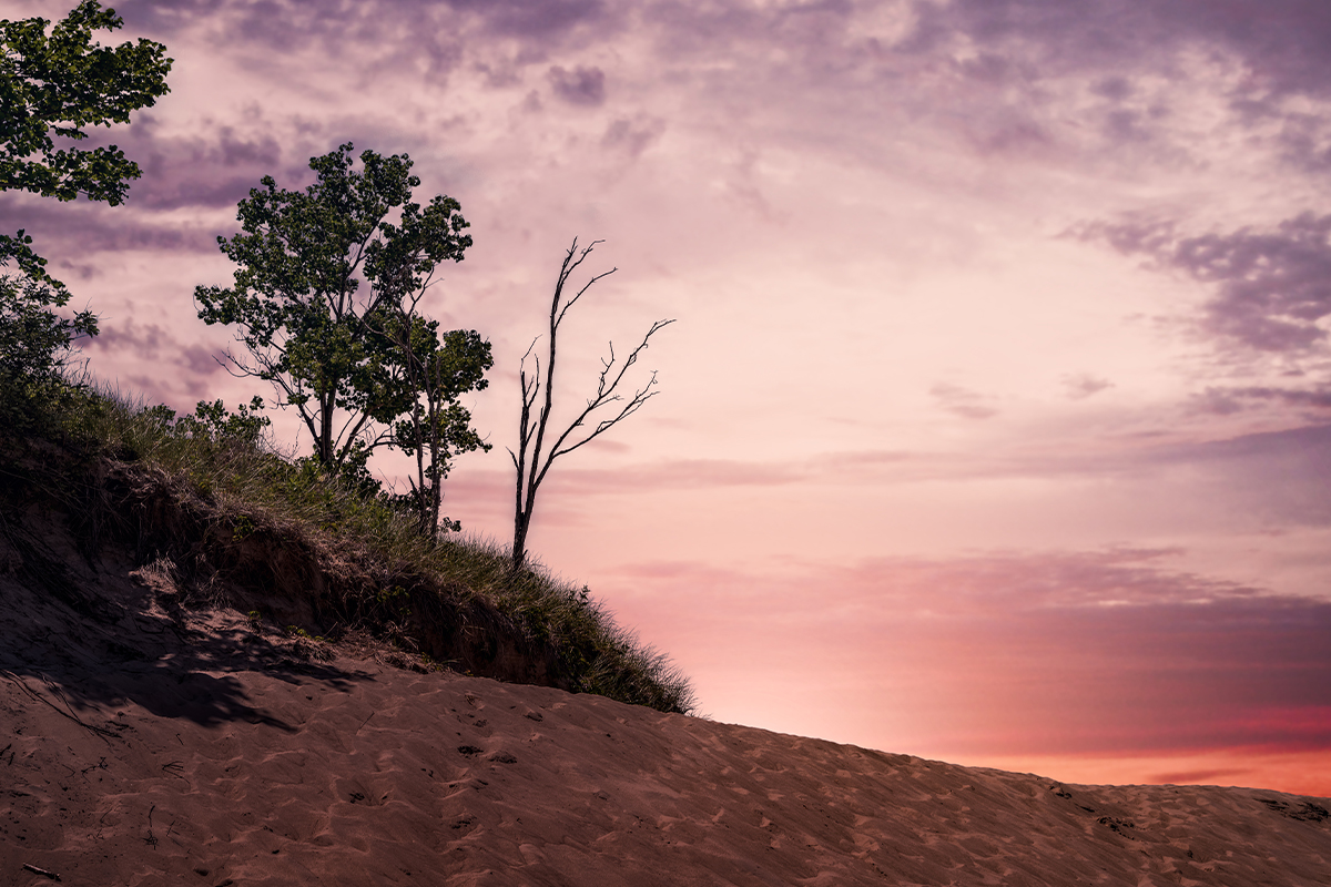 Indiana Dunes National Park  6