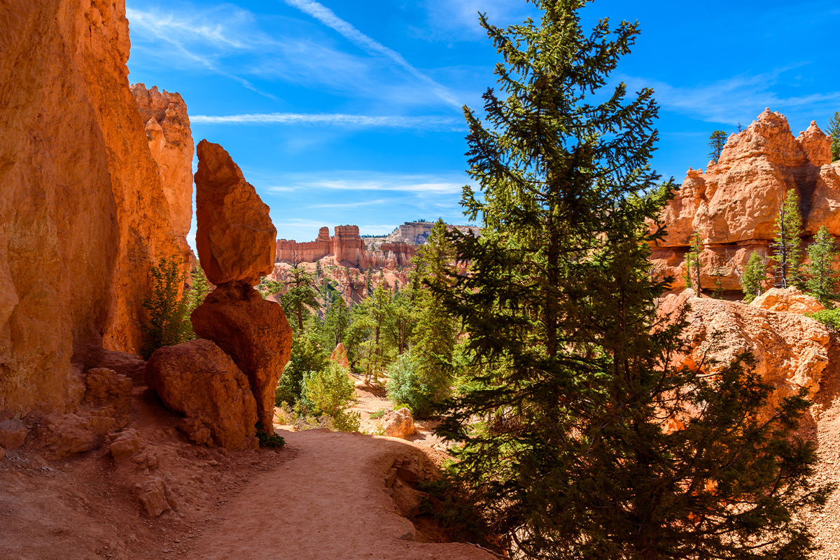 Bryce Canyon National Park 3