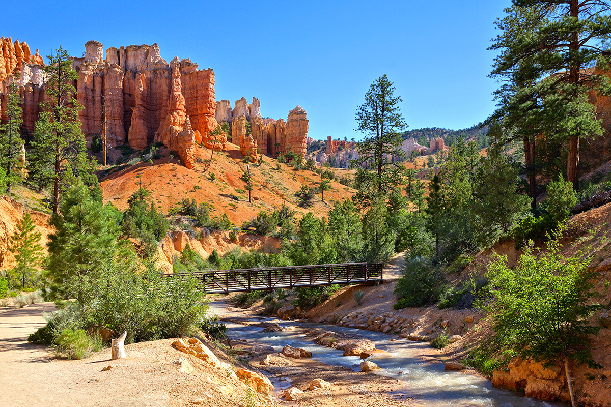 Bryce Canyon National Park 7