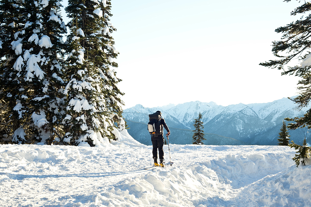 Things to Do in Olympic National Park 4