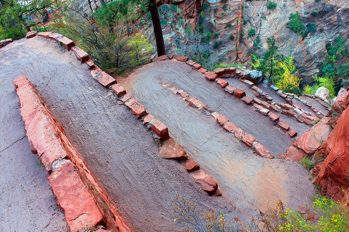 Explore the Beauty of Zion National Park 12