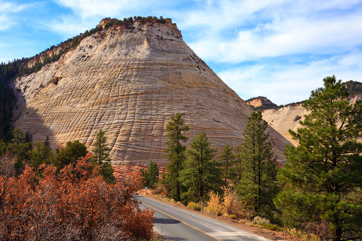 Explore the Beauty of Zion National Park 9