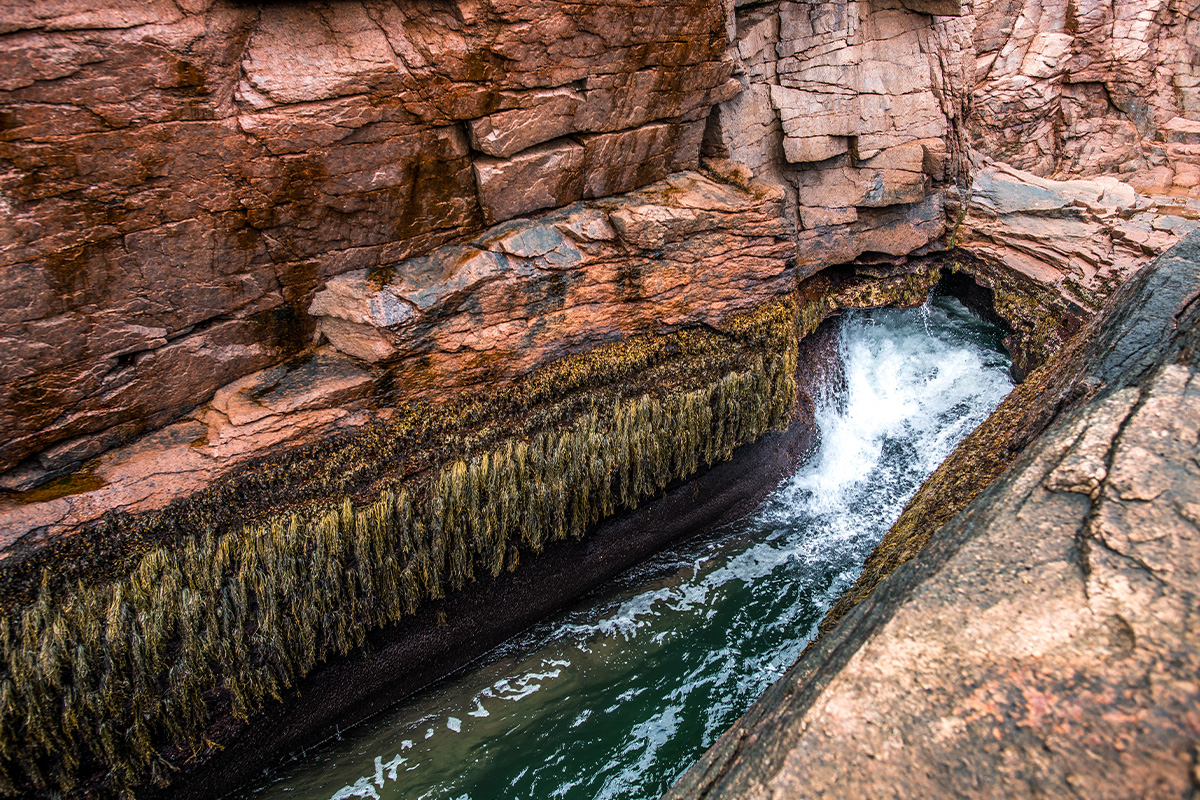 Best Things to Do in Acadia National Park 7