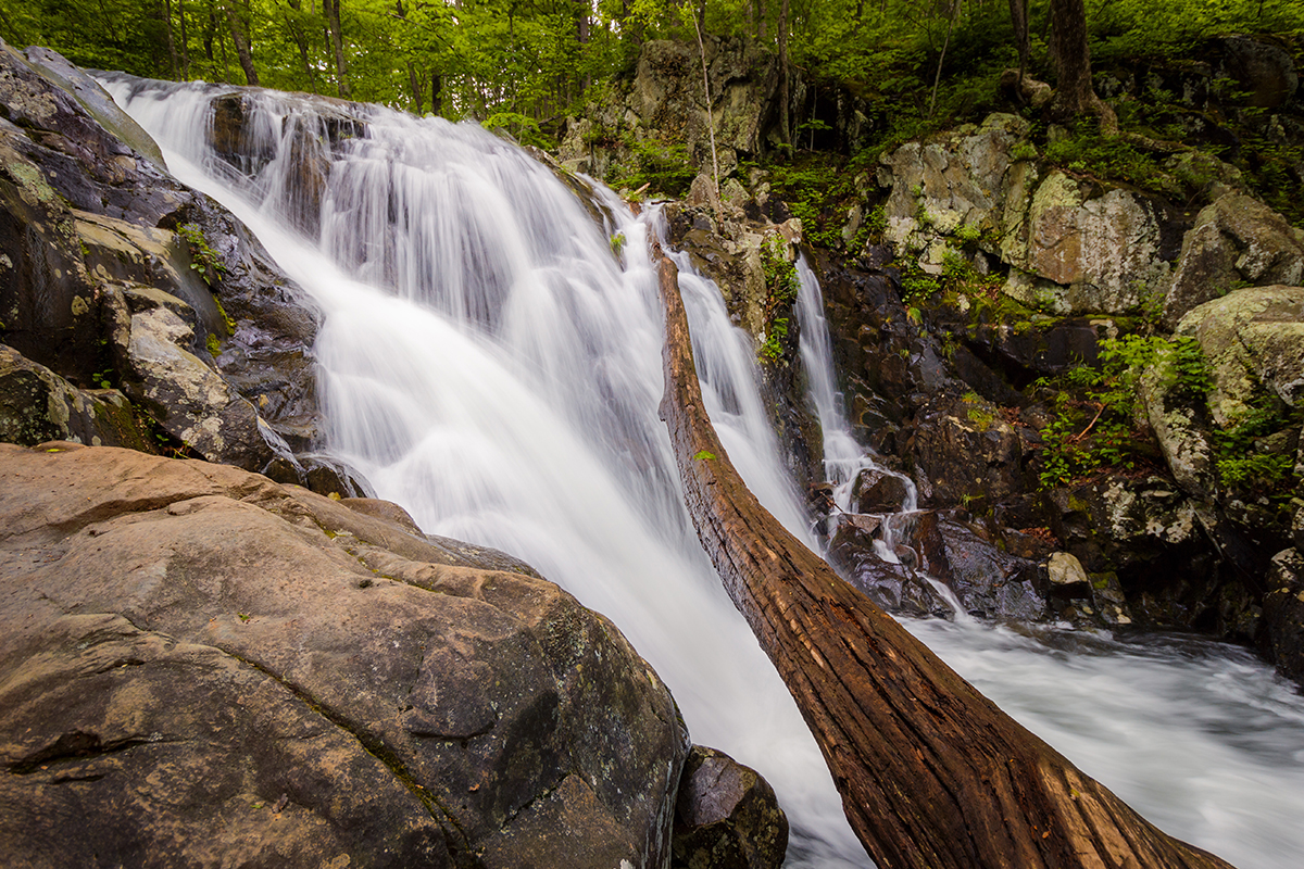 Best Things to Do in Shenandoah National Park  7