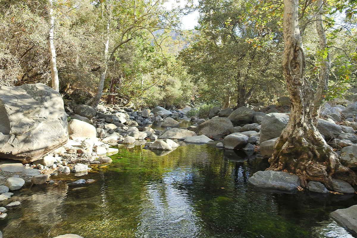 Best Things to Do in Sequoia National Park 8