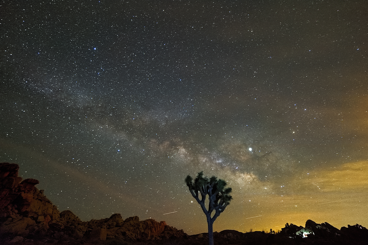 Best Things to Do in Joshua Tree National Park 3