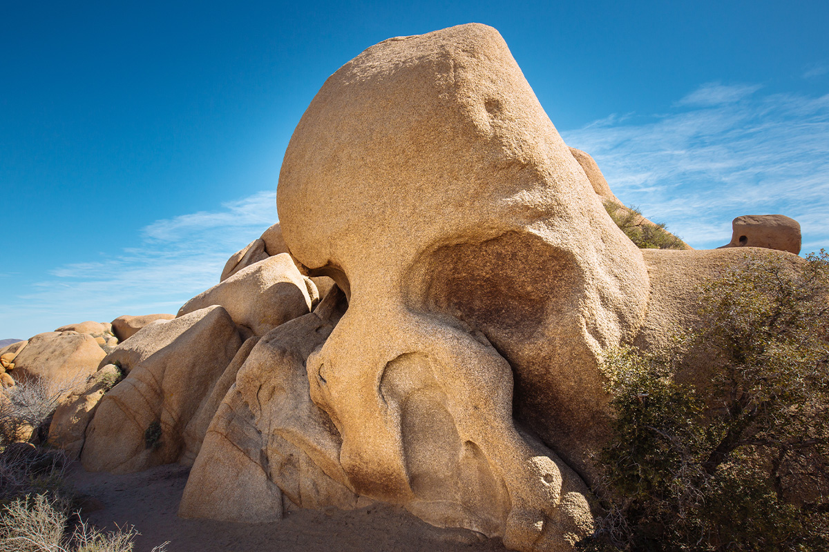 Best Things to Do in Joshua Tree National Park 8