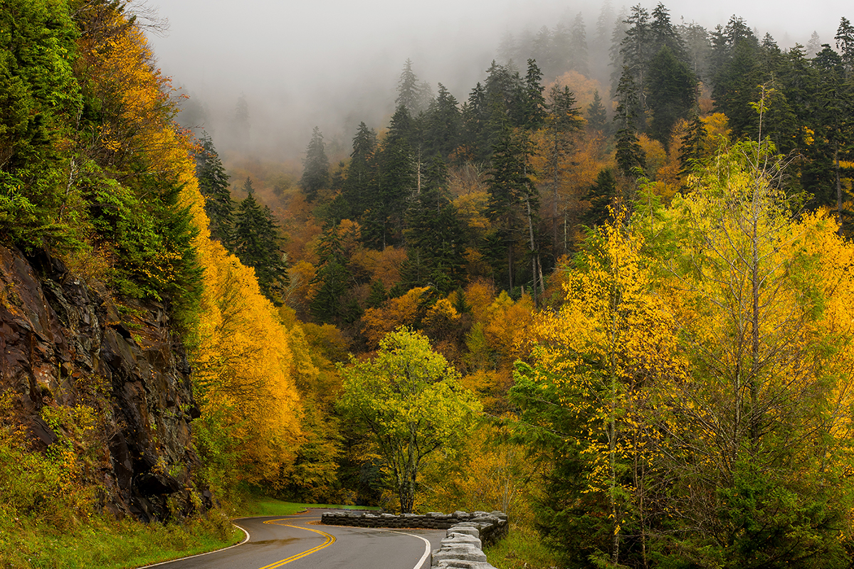 Things to Do in Great Smoky Mountains National Park FI