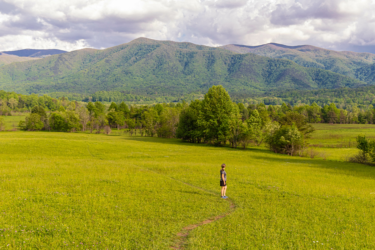 Things to Do in Great Smoky Mountains National Park 4