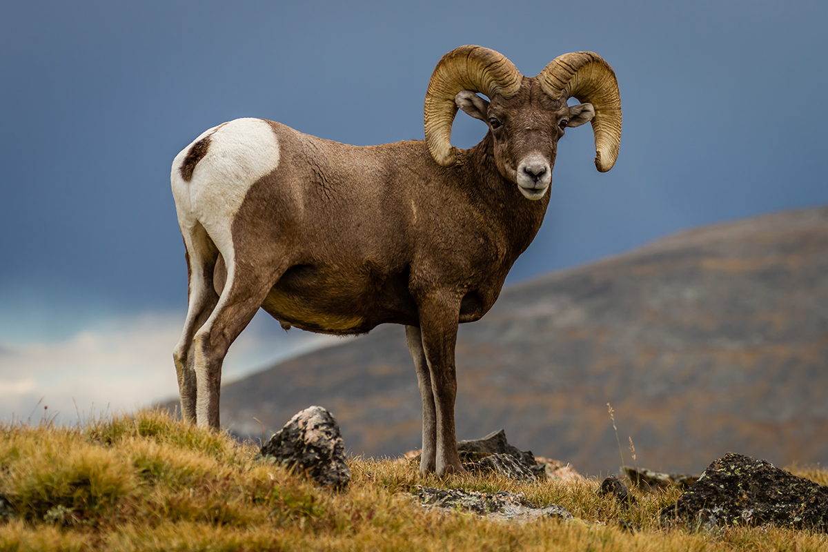 Best Hikes in Rocky Mountain National Park 7