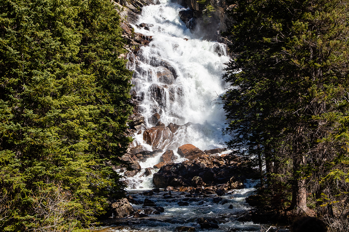 Best Hikes in Grand Teton National Park 7