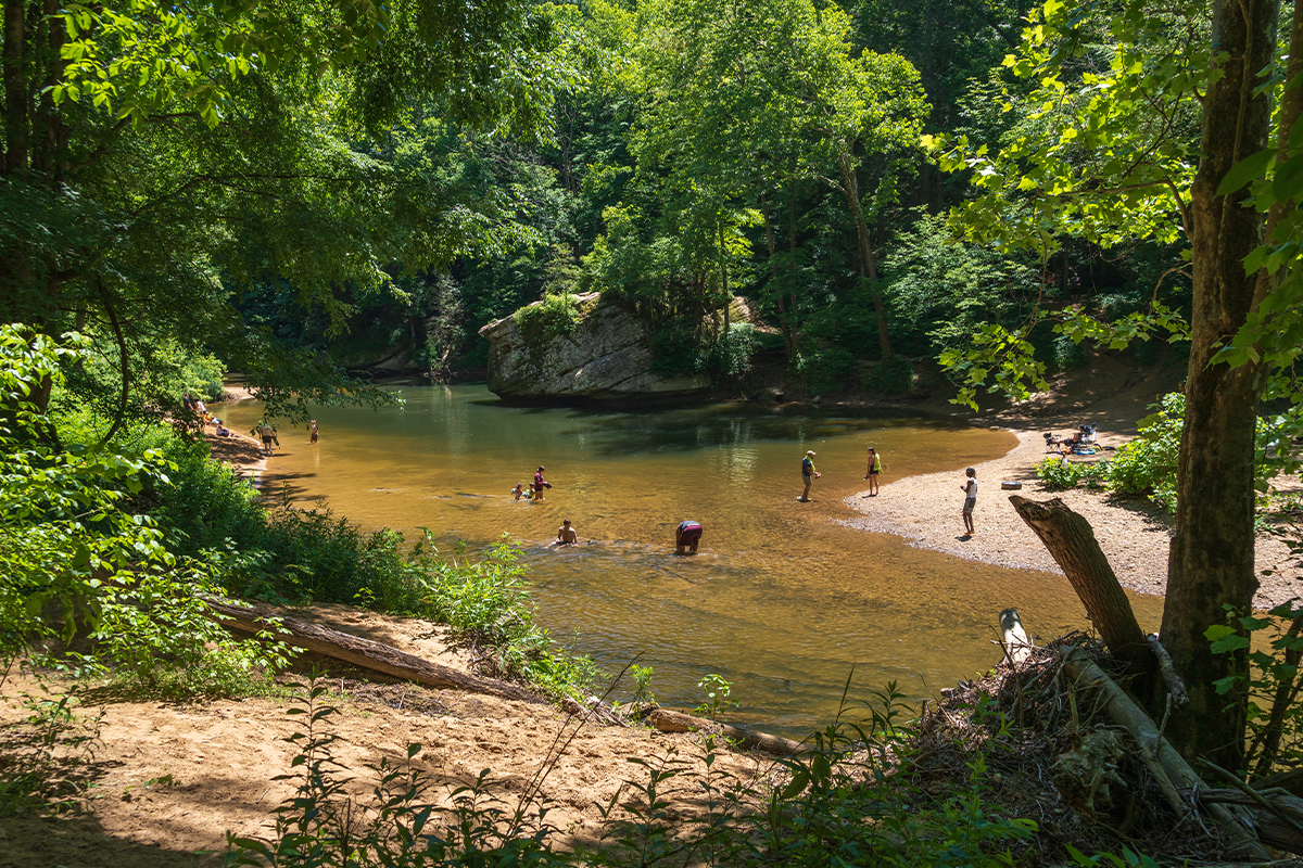 Best Ziplining in the US: 10 Can’t-Miss Zipline Tours 4
