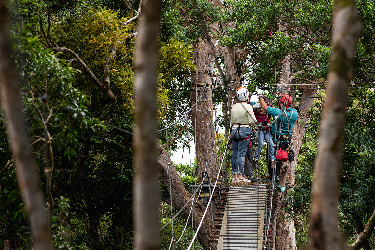 Best Ziplining in the US: 10 Can’t-Miss Zipline Tours 8