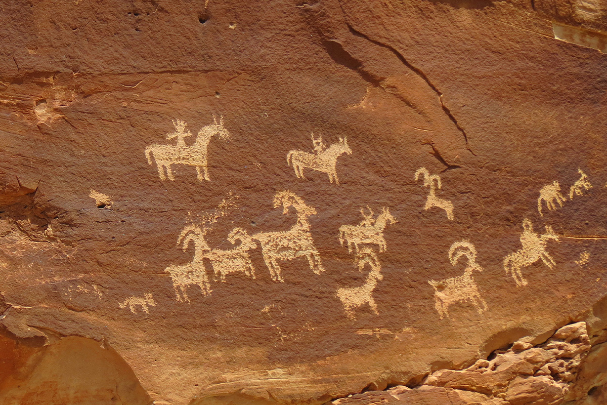 Arches National Park Animals: A Hiker’s Field Guide to Wildlife Watching 29