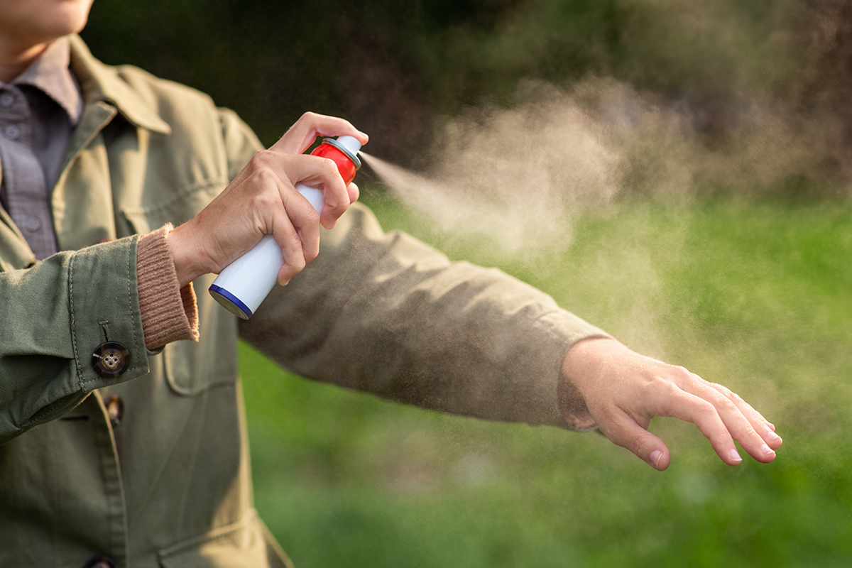 Tips and Ticks: Tick Bites, Safety, and Prevention for Humans and Dogs 6