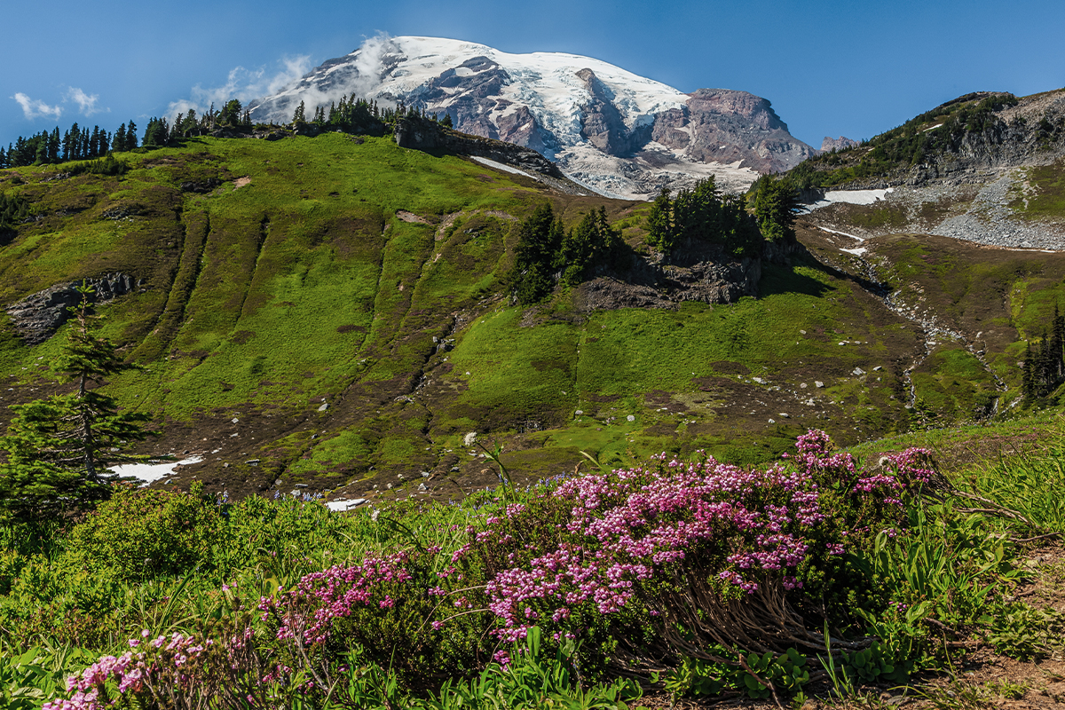 Things to Do in Mount Rainier National Park 11