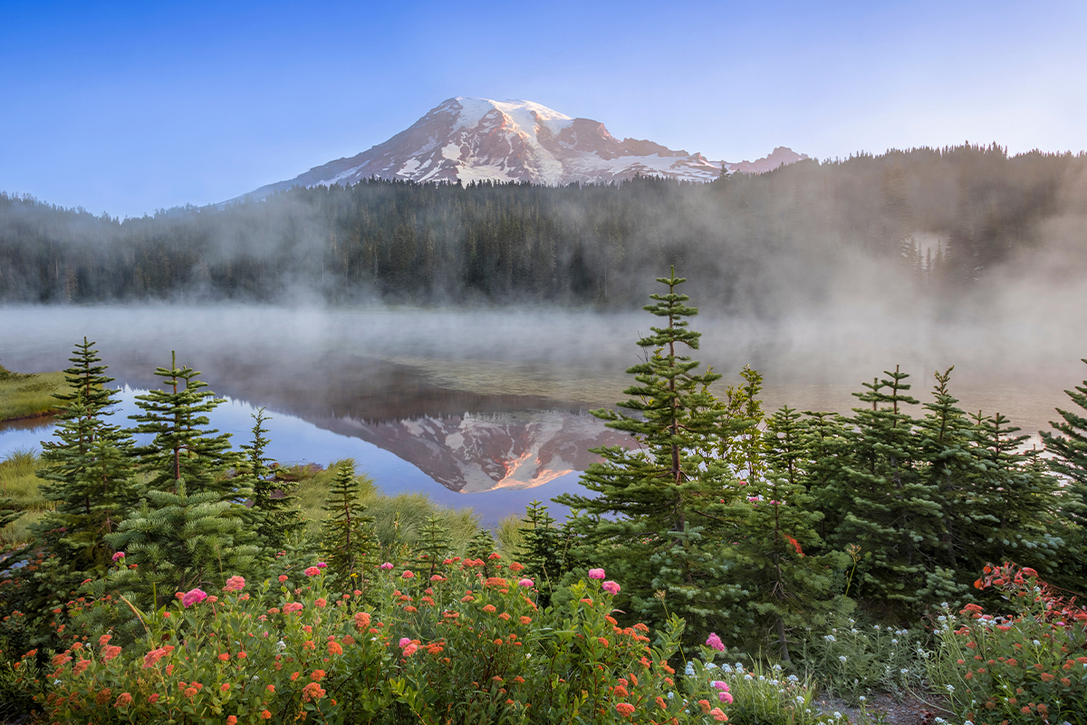 Things to Do in Mount Rainier National Park 4