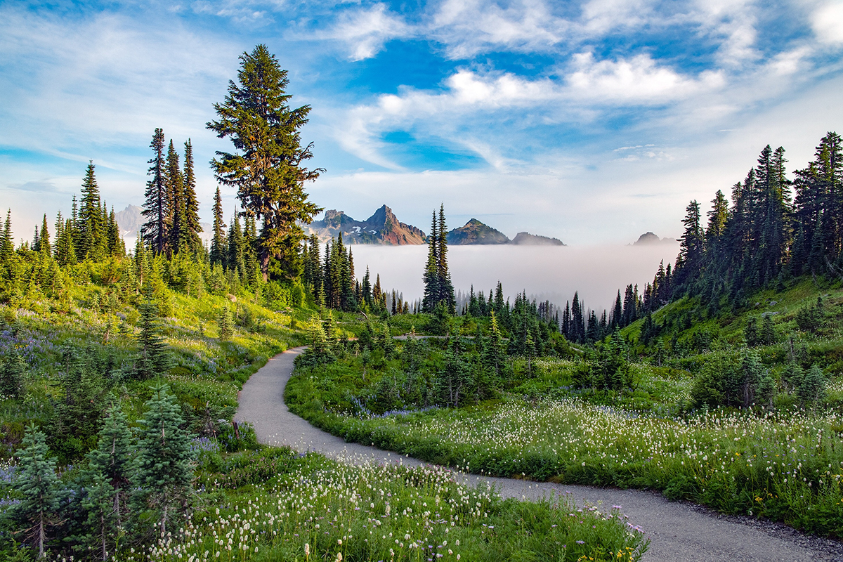 Things to Do in Mount Rainier National Park 1