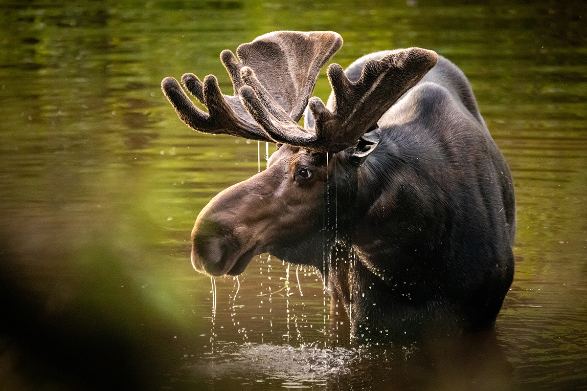 Best Things to Do in Isle Royale National Park 1