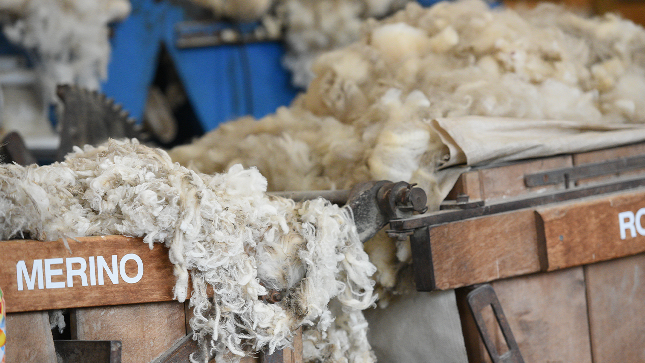 Fleece vs Wool: Which to Pick for Your Outdoors Adventure? 3