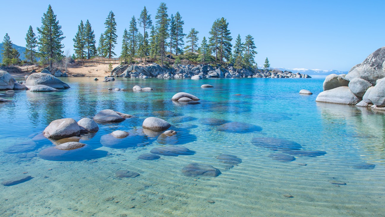 Lake Tahoe Camping Fi