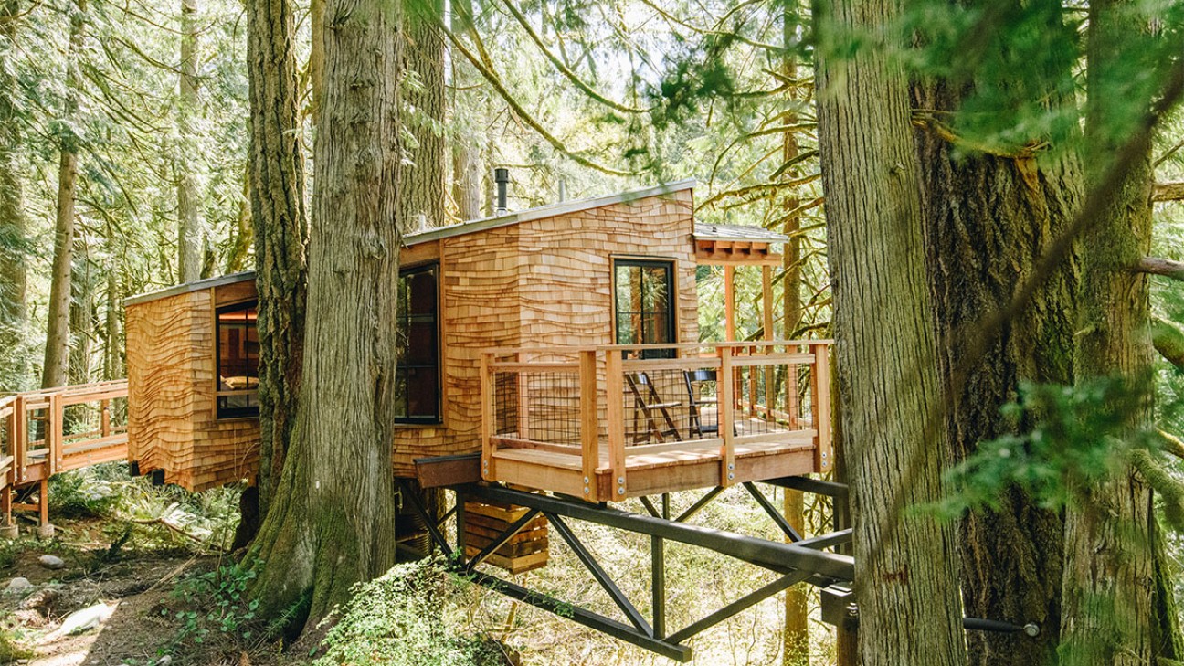 Trees and Treehouse Lodging Cabins in USA