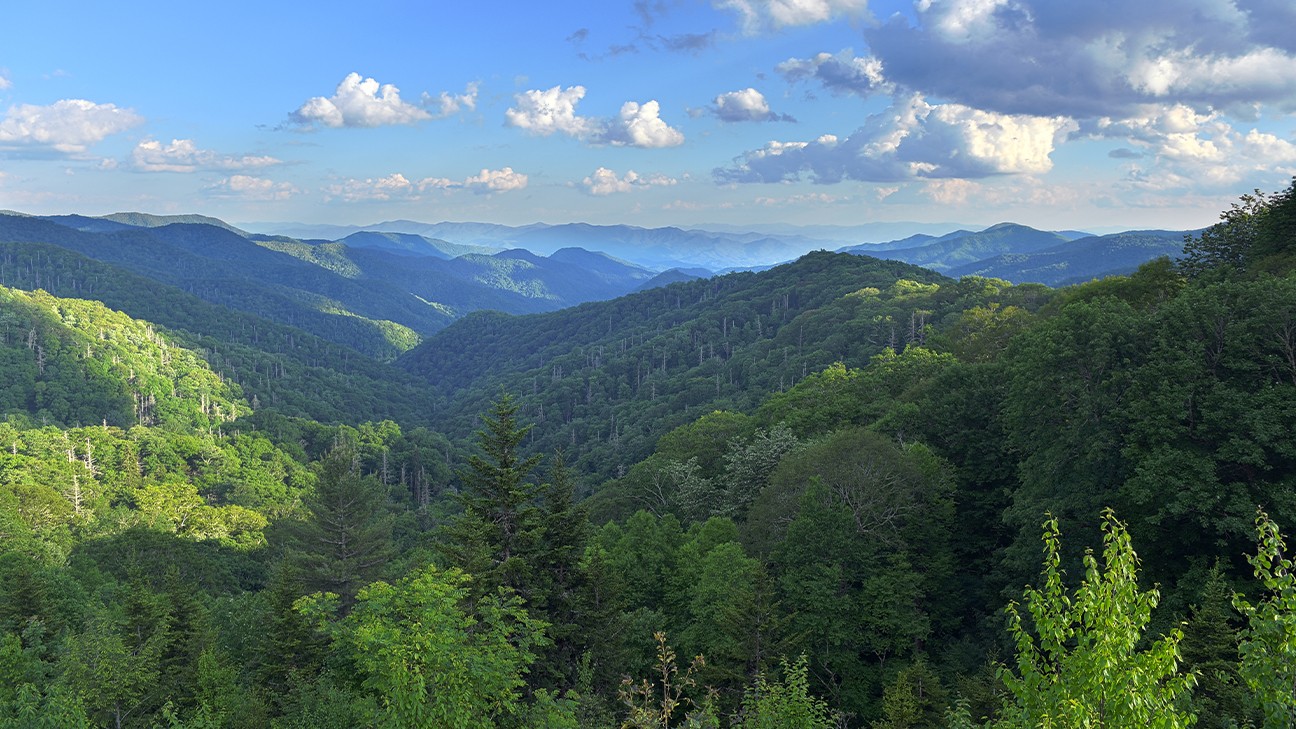 the best hiking trails in the smokies