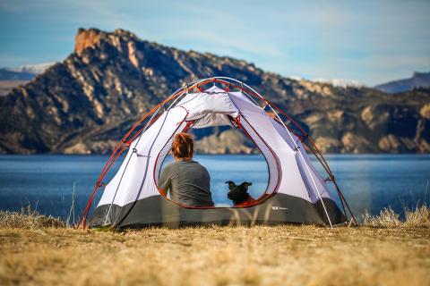 woman with a dog in a tent