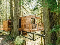 Trees and Treehouse Lodging Cabins in USA