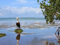 Things to Do in Everglades National Park fi