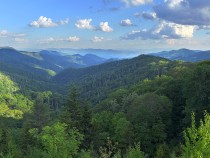 the best hiking trails in the smokies