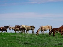 Best Things to Do in Theodore Roosevelt National Park 1
