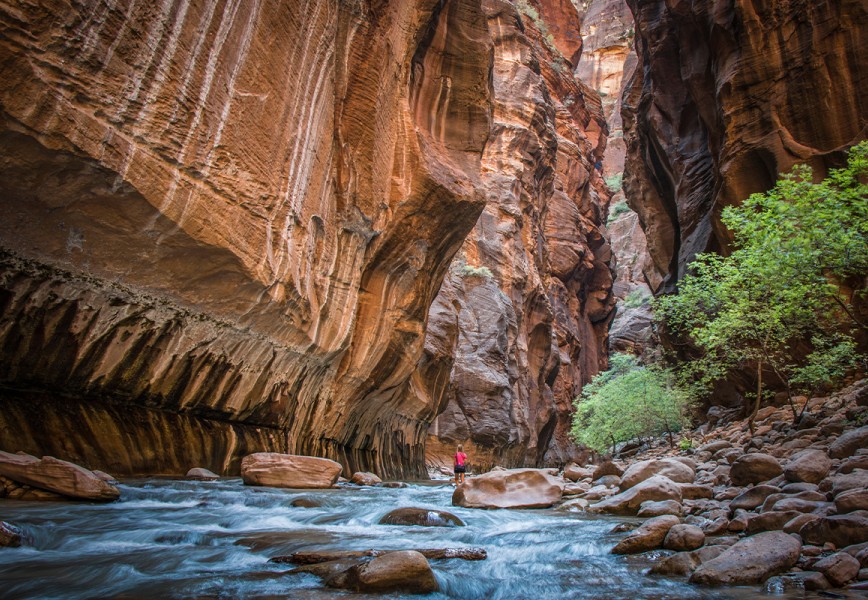 Zion National Park FI