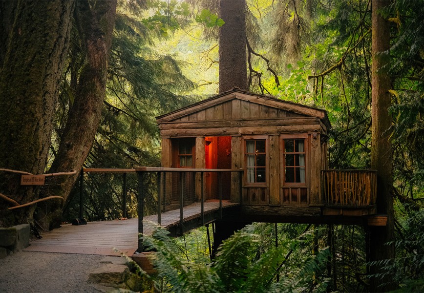 Treehouse Lodging Cabins in USA - Temple of the Blue Moon Cabin