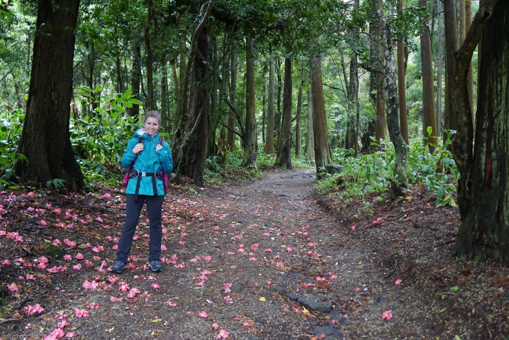 Azores_Islands_Danielle_Trail