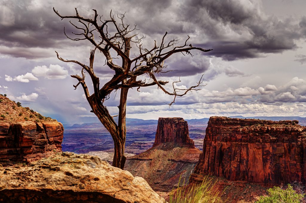 A landscape view of Canyonlands National Park, Utah as photographed by Gary Orona