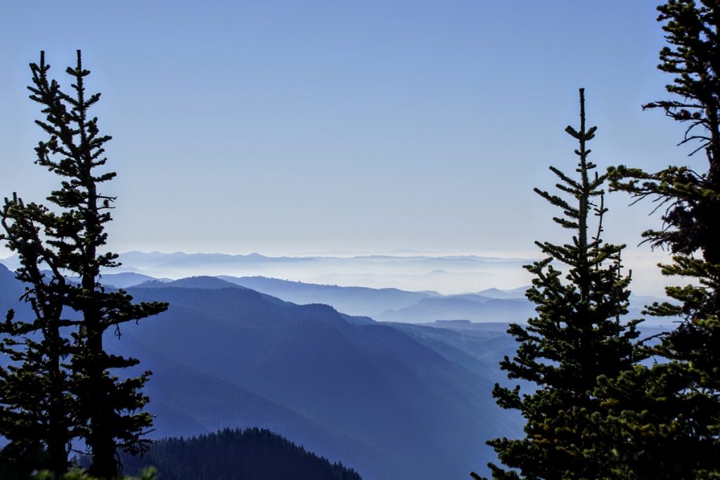 BearheadMountain View