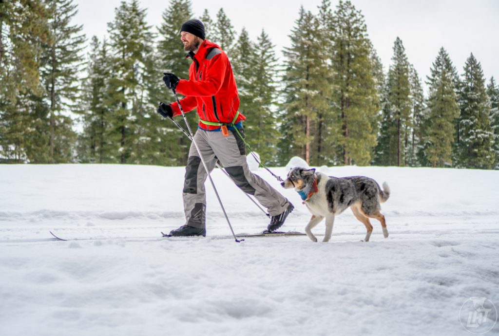 XC Skiing Dave Sora Suncadia WA XC Skiing Dave Sora Suncadia WA