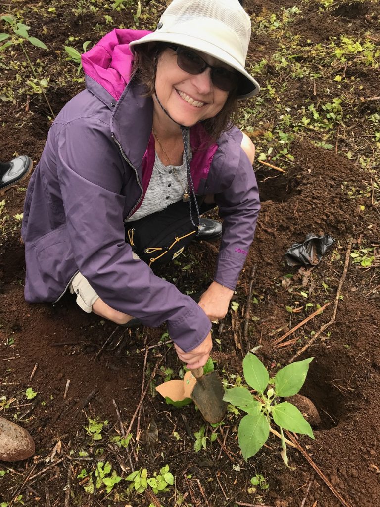 SBornstein Galapagos PlantingTrees